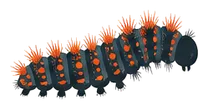 Chenilles processionnaires