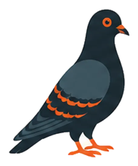 Pigeons
