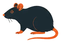 Rats